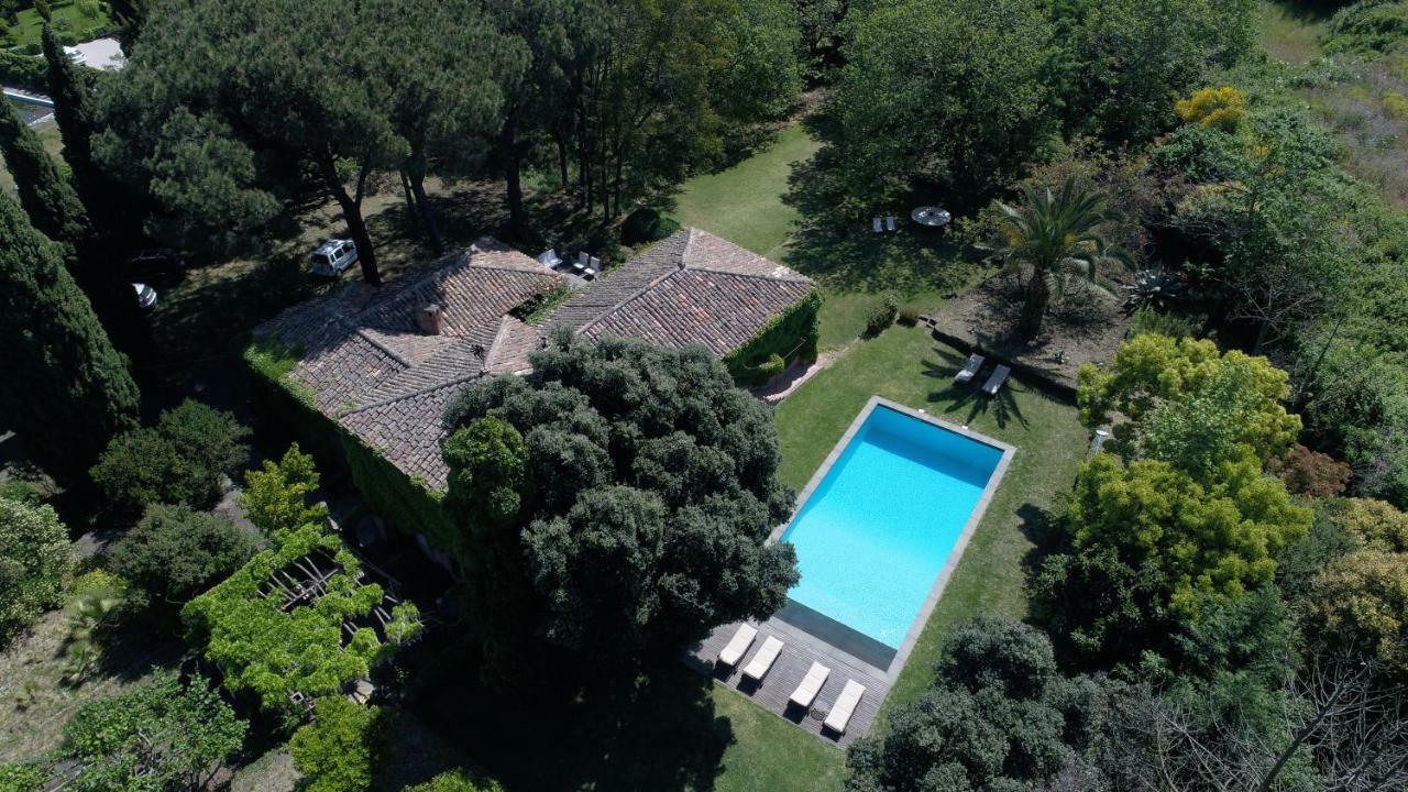 Villa Edera Viagrande Εξωτερικό φωτογραφία