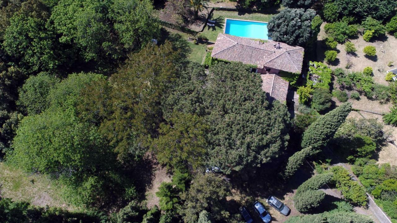 Villa Edera Viagrande Εξωτερικό φωτογραφία